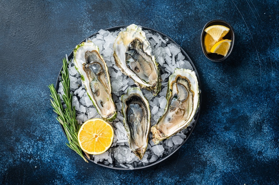 Oysters