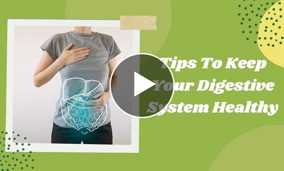 Digestive System