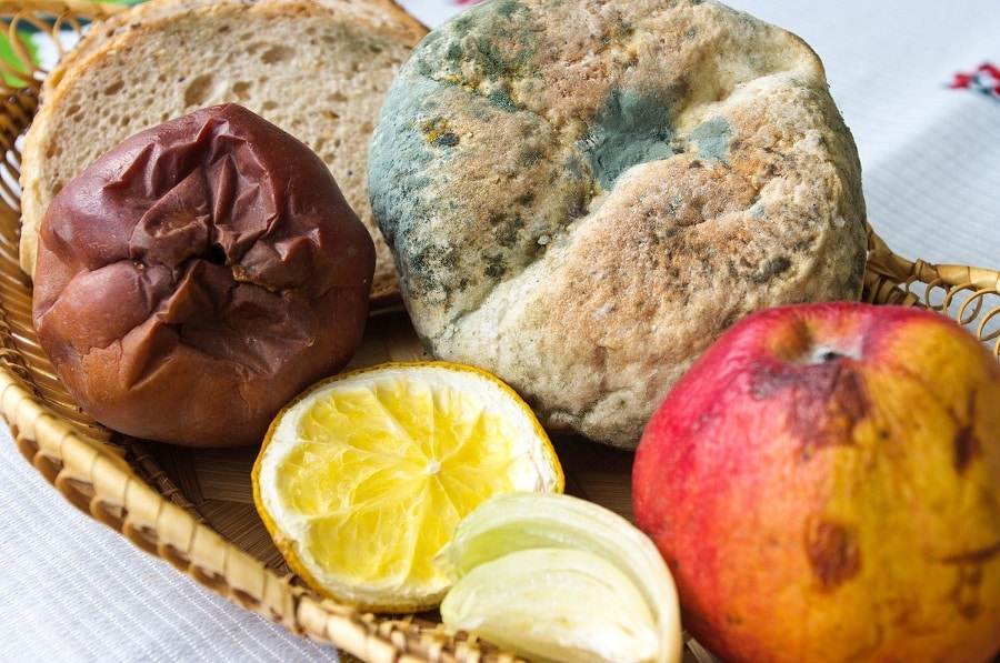 Identifying Moldy Foods