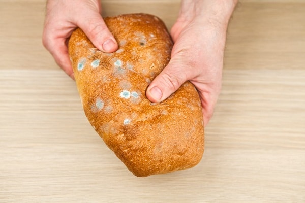 Identifying Moldy Foods