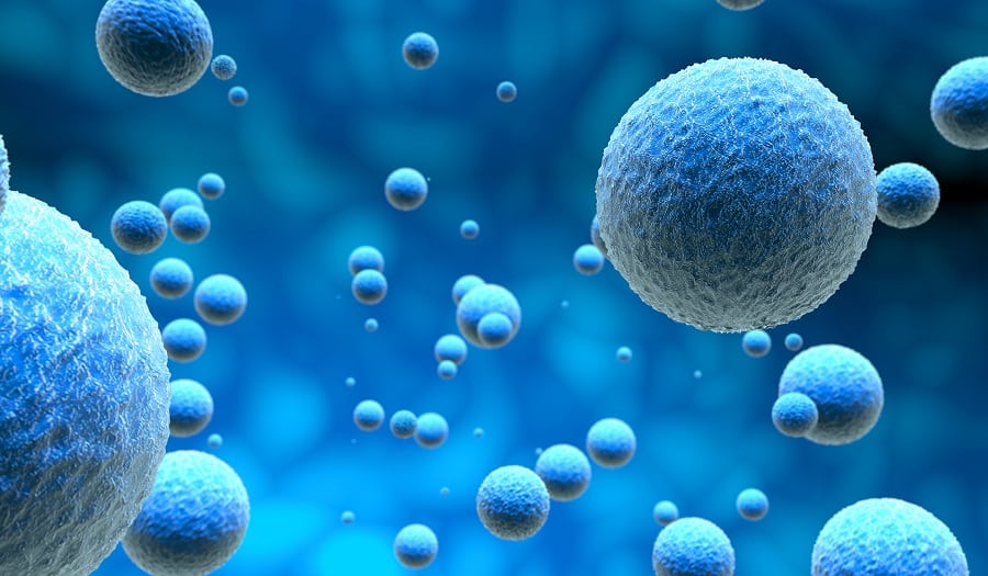 Cells