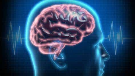 Understanding The Role Of B Vitamins