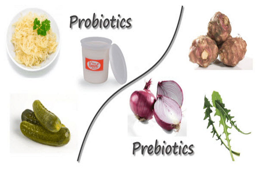 Guardians Of The Gut: Prebiotics, Probiotics, And Gut Health