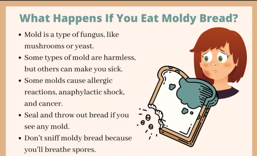 Identifying Mold In Your Food