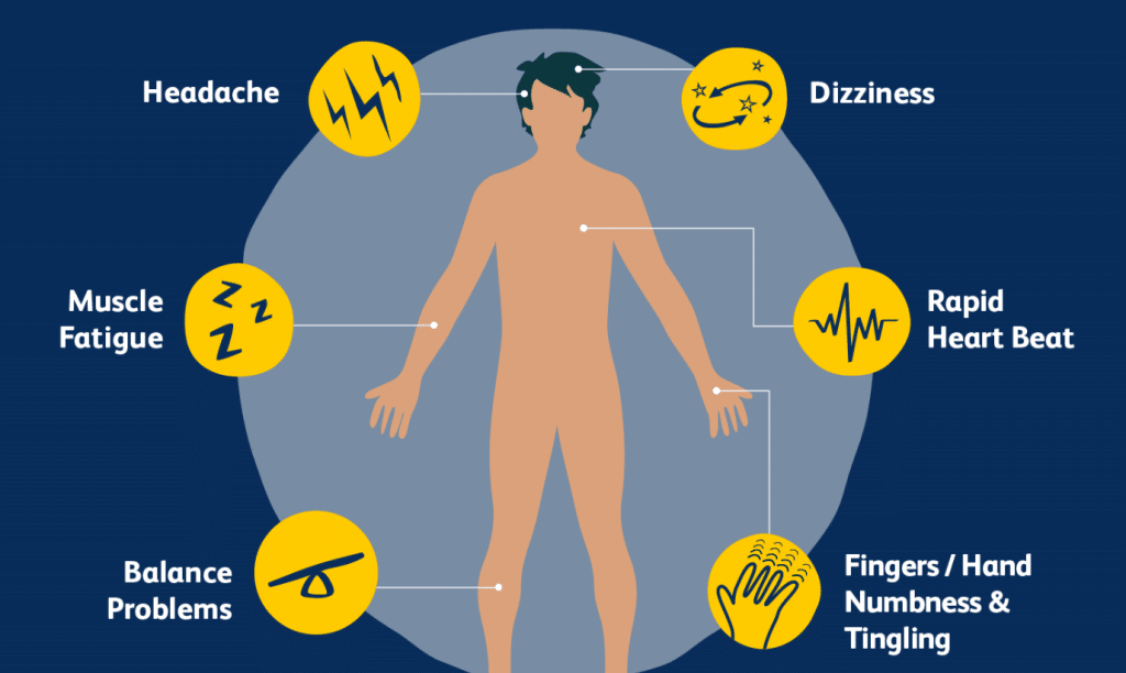  Understanding The Role Of B Vitamins