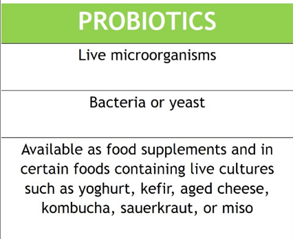 Guardians Of The Gut: Prebiotics, Probiotics, And Gut Health