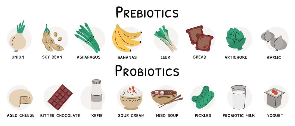 Guardians Of The Gut: Prebiotics, Probiotics, And Gut Health