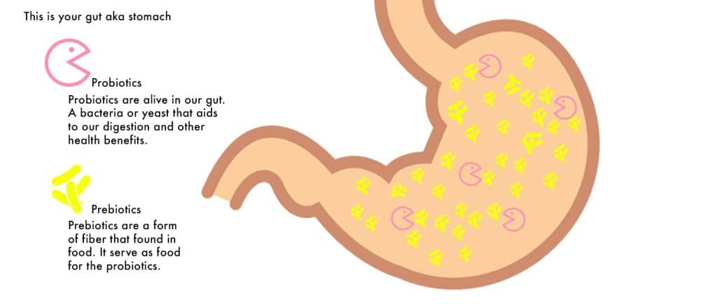 Guardians Of The Gut: Prebiotics, Probiotics, And Gut Health