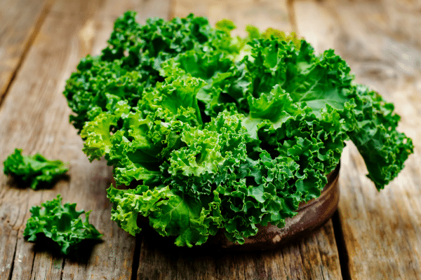 Plant Based Sources Of Calcium