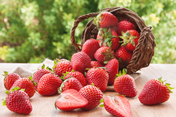 Fruits And Vegetables That Have High Water Content