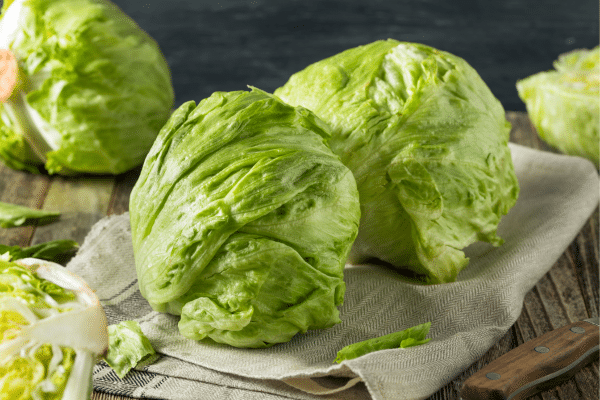 Fruits And Vegetables That Have High Water Content