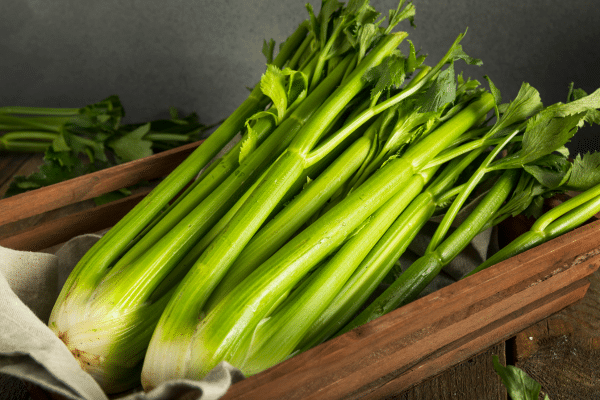 Fruits And Vegetables That Have High Water Content