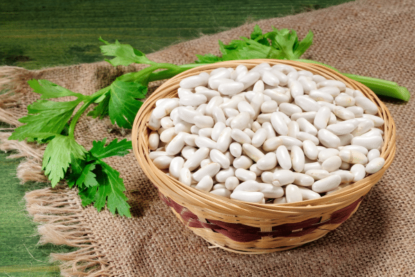 Plant Based Sources Of Calcium