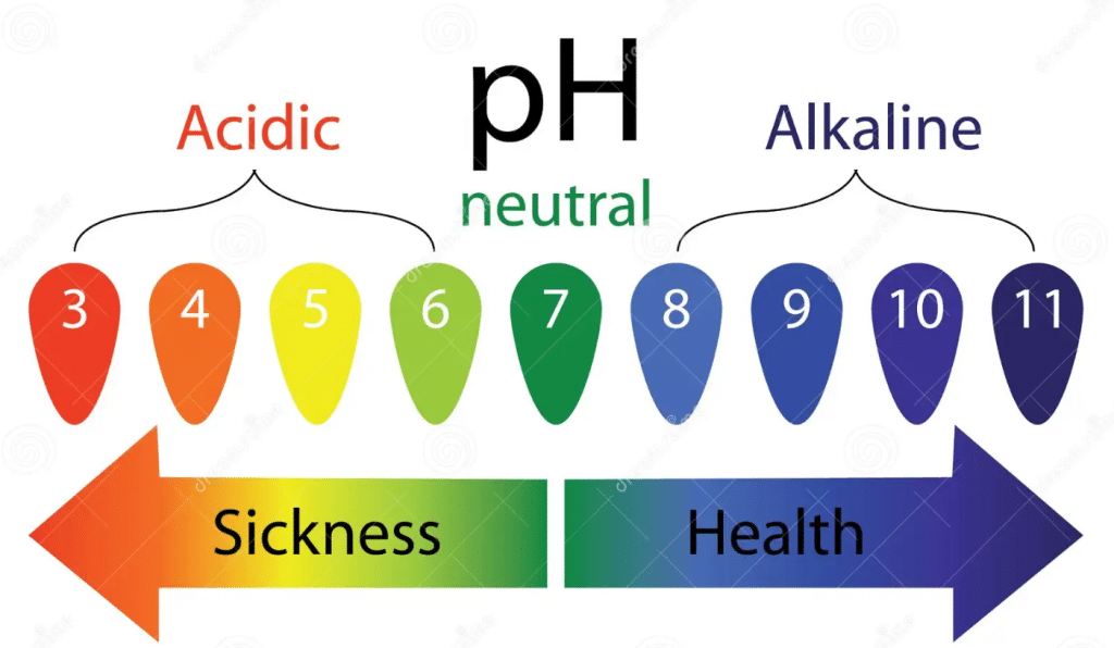 The Importance Of pH In Human Health (talk about alkaline)