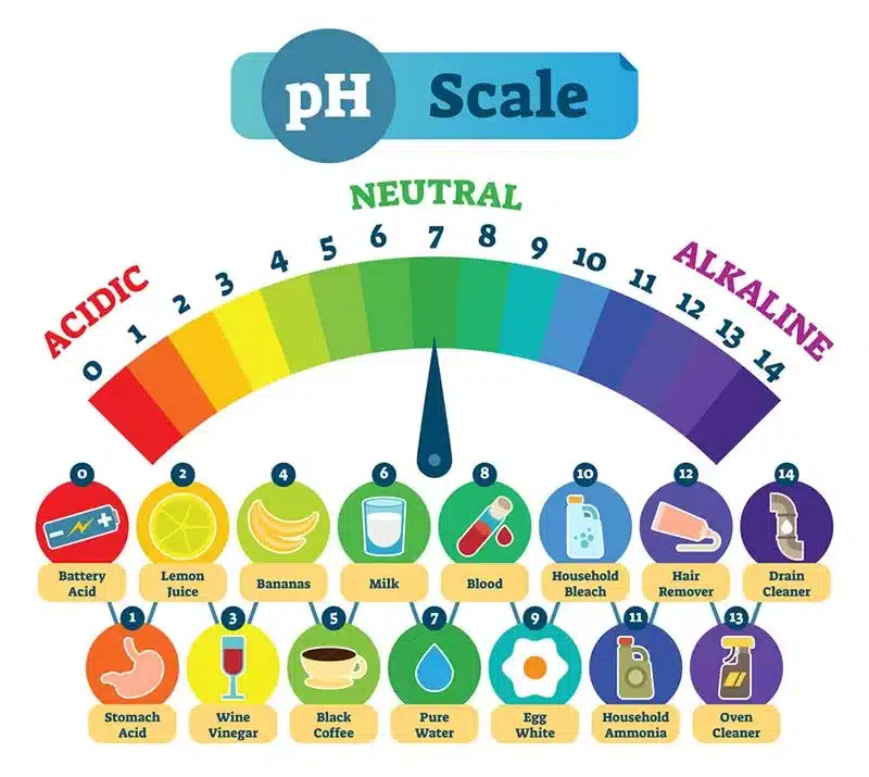 The Importance Of pH In Human Health (talk about alkaline)