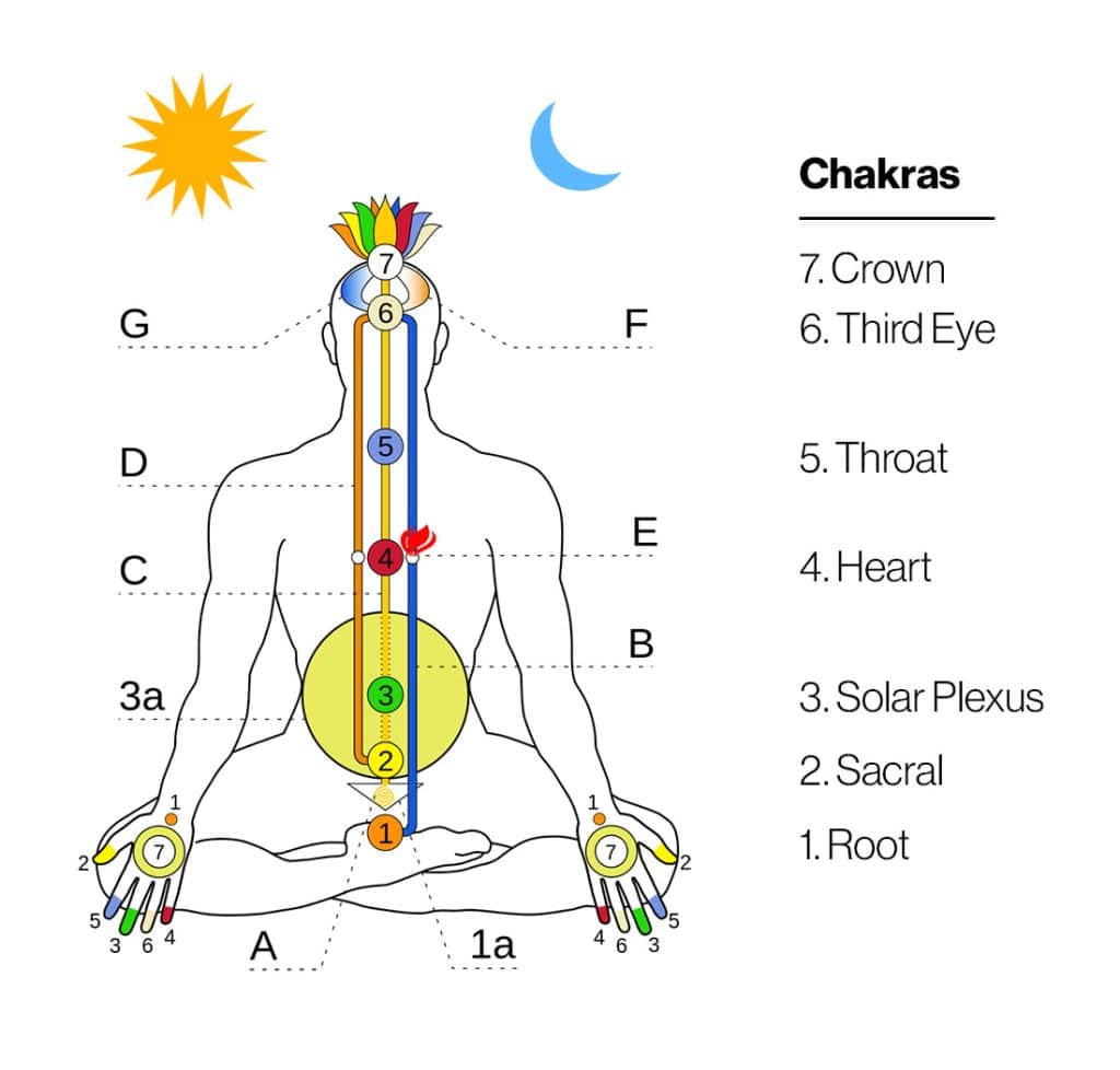 The Energetic Body: Exploring Chakras And Health