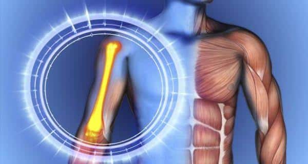 Stronger Bones, Healthier Joints: A Guide To Skeletal Health