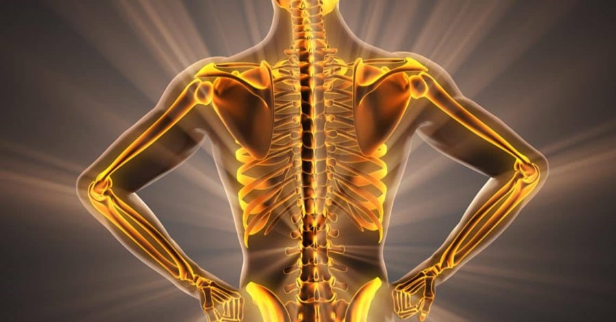 Stronger Bones, Healthier Joints: A Guide To Skeletal Health