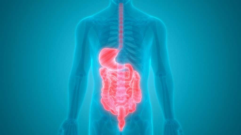 The Role Of Chiropractic Care