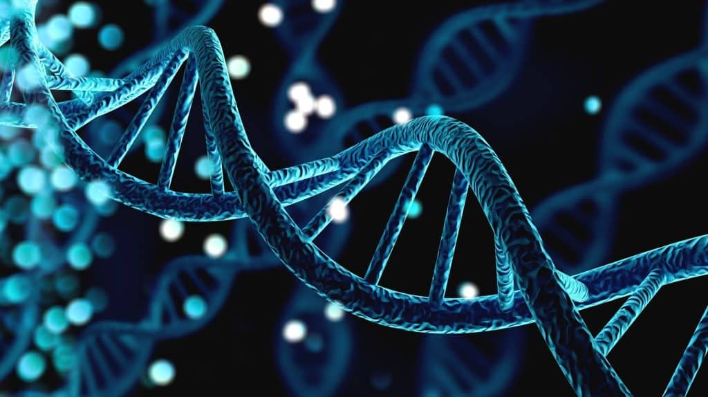 The Secret Role of Genetics in Your Health