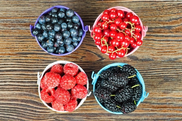 Best Foods For Recovery